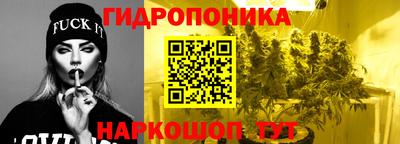 стаф Шахты