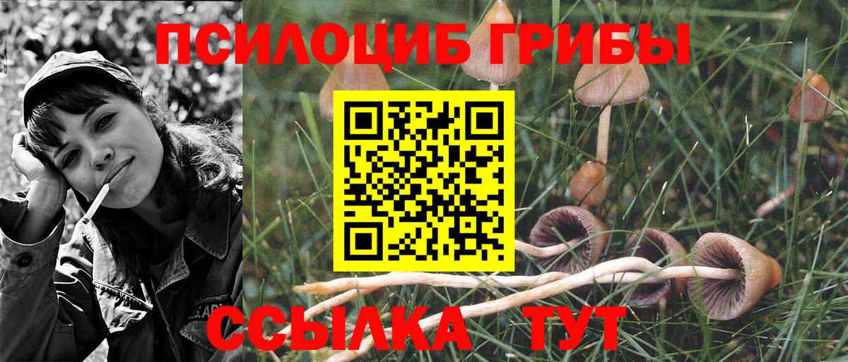 закладка  Вход с VPN  Майкоп  Галлюциногенные грибы MAGIC MUSHROOMS 